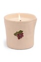 Vonná sójová sviečka Paddywax Grapes Embossed 226 g BIS0805EU viacfarebná AA00