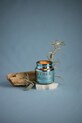 Home SPA Vonná sójová sviečka Paddywax Marine Ozon & Sage 71 g CHR0203EU tyrkysová