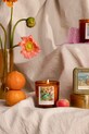 Home SPA Vonná sójová sviečka Paddywax Impressionist, Degas Dancers 'Pink & Green' 170 g IMP0601EU hnedá