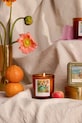 Home SPA Paddywax świeca zapachowa sojowa Impressionist, Degas Dancers 'Pink & Green' 170 g IMP0601EU brązowy