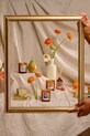 Vonná sójová sviečka Paddywax Impressionist, Cezanne 'Still Life with Milk Jug & Fruit' 170 g hnedá IMP0604EU