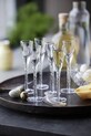 Lyngby vodkás poharak készlet Glass Paris 25 ml 6 db 27590 áttetsző
