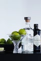Bucătărie și bar Nachtmann set de pahare cu cactuși Bossa Nova Cocktail 340 ml 2-pack 99678 transparent