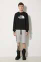 Alpha Industries shorts Basic 116364.17 gray AA00
