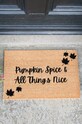 Artsy Doormats wycieraczka Autumn Collection TYPO.PUMPKINSPICE beżowy AA00
