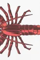 Χαλάκι μπάνιου Artsy Doormats Lobste πολύχρωμο