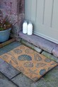 Artsy Doormats wycieraczka Shells 60 x 40cm 6040.SHELLS multicolor