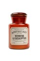 Paddywax Ароматическая соевая свеча Verbena and Eucalyptus 516 g мультиколор APG805EU