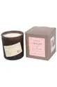 πολύχρωμο Paddywax Αρωματικό κερί σόγιας Jane Austen Unisex