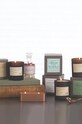 Paddywax Ароматическая соевая свеча Jane Austen 370 g GL02EU мультиколор AA00