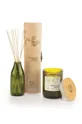 Paddywax Αρωματικό κερί σόγιας Fresh Air & Birch 226 g πράσινο