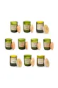 Paddywax Ароматическая соевая свеча Bamboo & Green Tea 226 g мультиколор