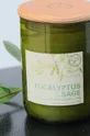 Paddywax Voňavá sójová sviečka Bamboo & Green Tea 226 g Unisex