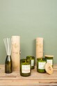 Home SPA Paddywax Difuzor de arome Bamboo & Green Tea 118 ml EGFD07EU multicolor