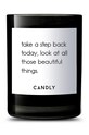 Candly Ароматическая соевая свеча Take a step back 250 g чёрный No6TAS