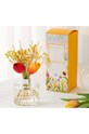 Домашнє SPA Cocodor Аромадифузор April Breeze PDI30415 барвистий