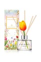 Cocodor dyfuzor zapachowy White Musk multicolor PDI30417