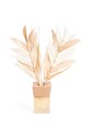 Аромат Helio Ferretti Cinnamon Scent 50 ml мультиколор 122041