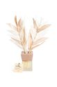 Διαχυτής αρώματος Helio Ferretti Cinnamon Scent 50 ml 122041 πολύχρωμο AA00