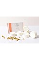 Vonný sójový vosk Aroma Home Energise Wax Melts 6 x 20 g AH0050EN viacfarebná AA00
