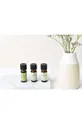 Sada esenciálnych olejov Aroma Home Home Detox Essential Oil Blends 3-pak viacfarebná