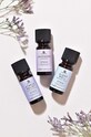 Aroma Home Favourites Essential Oil Blends 3-pack AH0028FA барвистий AA00