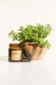 Really Nice Things set di candele profumate Tomato Leaf & Oregano 2 x 100 g pacco da 2 Vetro, Plastica, cera