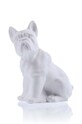3d omalovánky Candellana Bulldog Classic bílá 5907699079292