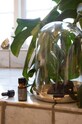 Home SPA C'est Bon kő aroma diffúzor CB151.988.1 többszínű
