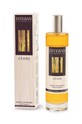 Ароматический диффузор Esteban Cedre 75 ml мультиколор CED.171