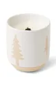 барвистий Ароматична соєва свічка Paddywax Cypress & Fir 240 g Unisex