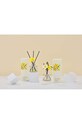Aroma difuzér Cocodor Daffodil English Pearfree 120 ml vícebarevná PDI30933