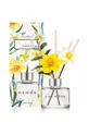 többszínű Cocodor aroma diffúzor Daffodil Vanilla & Sandalwood 200 ml Uniszex