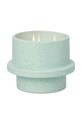 Ароматическая соевая свеча Paddywax Salt & Sage 326 g зелёный FO1202EU