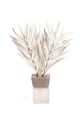 Helio Ferretti dyfuzor zapachowy White Almizlcle 50 ml beżowy 122040.