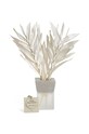 Helio Ferretti dyfuzor zapachowy White Almizlcle 50 ml 122040. beżowy AA00