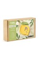 Graine Creative zestaw diy miseczki Jasmonite Lemon Pocket 179081 multicolor AA00