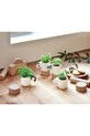 Lifestyle Noted set pentru cultivarea unei plante Monokuro Animals Zebra GD100702 alb