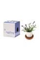 Набор для выращивания растений Noted Eggling Lavender de Provence белый EG32