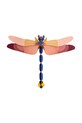 Studio ROOF zestaw diy figurka dekoracyjna 3d Butterflies 47 x 38 x 0,5 cm multicolor TTM72