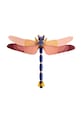 Studio ROOF zestaw diy figurka dekoracyjna 3d Butterflies 47 x 38 x 0,5 cm multicolor TTM72