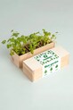 RESETEA zestaw do uprawy ziół Mini garden Aromatic herbs 21 x 7,8 x 6,5 cm multicolor Erst426