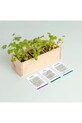 Lifestyle RESETEA zestaw do uprawy ziół Mini garden Aromatic herbs 21 x 7,8 x 6,5 cm Erst426 multicolor