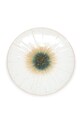 S|P Collection talerz deserowy Eclipse biały 856131