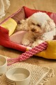 Pelíšek pro mazlíčka Calma House Buby S BUBY.DOGS.ROS