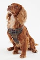 Postroj pre psa Barbour Travel And Exercise hnedá DAC0011