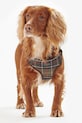 Postroj pre psa Barbour Travel And Exercise DAC0011