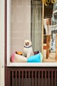Lifestyle HAY legowisko dla pupila Small 52 x 60 x 21 cm AD862.A601.AG24 multicolor
