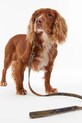 Barbour smycz dla psa Reflective Tartan Dog 100 cm zielony DAC0053