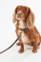 Lifestyle Barbour smycz dla psa Reflective Tartan Dog 100 cm DAC0053 zielony